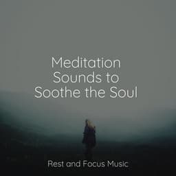 Meditation Sounds to Soothe the Soul - Massage