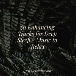 50 Enhancing Tracks for Deep Sleep - Music to Relax - Reiki Music