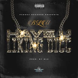 HAVE U LIKING DICC - Blu