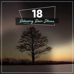 14 Zen Rain Tracks for Yoga - Ambientalism