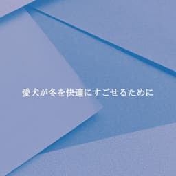 愛犬が冬を快適にすごせるために - Dinner Music Classics