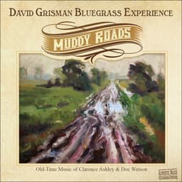 Muddy Roads - David Grisman