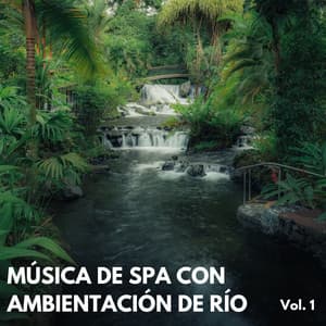 Música De Spa Con Ambientación De Río Vol. 1 - Sonidos de agua para spa