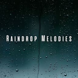 Raindrop Melodies: Tranquil Rain and Chill Sounds for Pets - Prince Of Rain