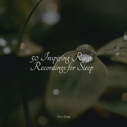 50 Inspiring Rain Recordings for Sleep - Tinnitus Aid