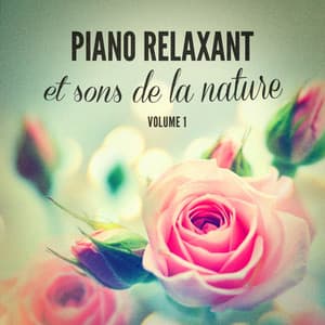 Piano relaxant et sons de la nature - Bruits naturels