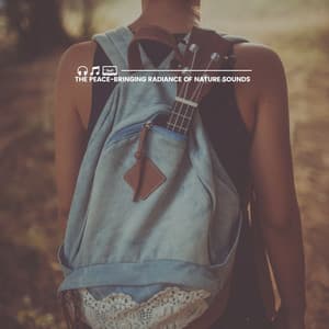 The Peace-bringing Radiance of Nature Sounds - Sounds Of The Earth