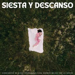 Siesta Y Descanso: Corrientes De Agua Tranquilas Para Dormir Mejor Por La Noche - Chill Relajente