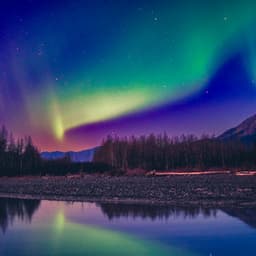 50 Songs For A Restful Night: Sharp Mind - White Noise for Babies