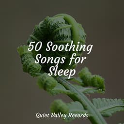 50 Soothing Songs for Sleep - Musica Para Dormir y Sonidos de la Naturaleza