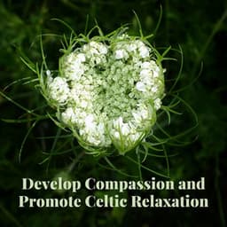 Develop Compassion and Promote Celtic Relaxation - World of Celtic Music