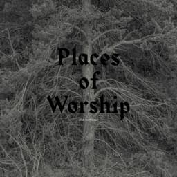 Places of Worship - Arve Henriksen