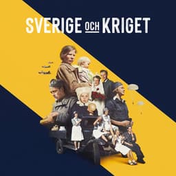 Sverige och kriget - Irya Gmeyner