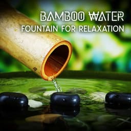Bamboo Water Fountain for Relaxation - Ageing New