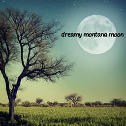 Dreamy Montana Moon - American Country Hits