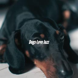 Dogs Love Jazz - Classic Instrumental Jazz