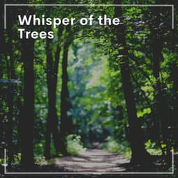 Whisper of the Trees - Inspiring Tranquil Sounds
