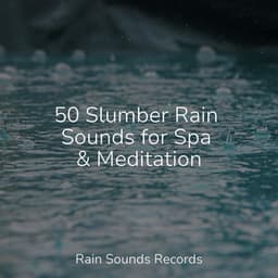50 Slumber Rain Sounds for Spa & Meditation - Soothing Sounds