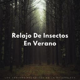 Relajo De Insectos En Verano: Los Sonidos Melódicos De La Naturaleza - Naturaleza nativa americana