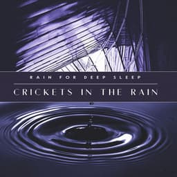 Crickets in the Rain - Rain for Deep Sleep