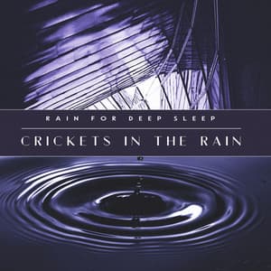 Crickets in the Rain - Rain for Deep Sleep