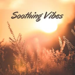 Soothing Vibes: Tranquil Beats for Ultimate Relaxation and Mindful Serenity - Sauna Relax Music Rec