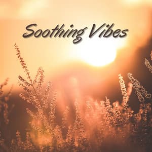 Soothing Vibes: Tranquil Beats for Ultimate Relaxation and Mindful Serenity - Sauna Relax Music Rec