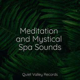 Meditation and Mystical Spa Sounds - Meditação Yoga