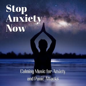 Stop Anxiety Now: Calming Panic Attacks - Anxiety Relief