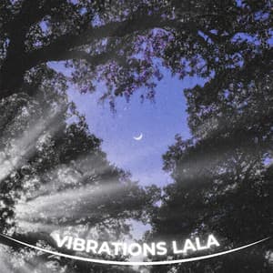 Quiet Aurora Sound Bath - Source Vibrations