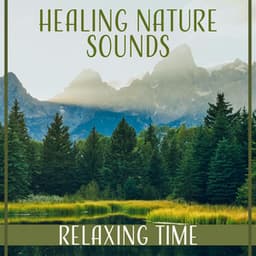 Healing Nature Sounds: Relaxing Time for Mindfulness Meditation, Serenity Music, Ocean Waves, Birds - Zen Natural Sounds