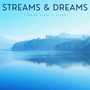 Streams & Dreams: A Good Night's Sleep - Pure Deep Sleep White Noise