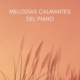 Melodías Calmantes Del Piano - Radio relajante con piano