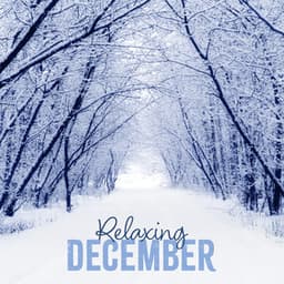 Relaxing December: Winter Relaxation Music, Wellbeing Regeneration, Calm Piano - Daily Relax Universe