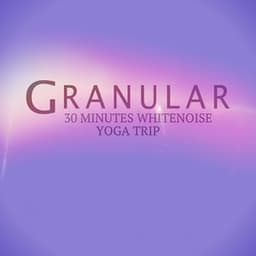 30 Minutes White Noise Yoga Trip - Granular