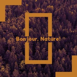 Bonjour, Nature! Musique stimulante et énergisante pour toute la journée - Zen Matin Groupe