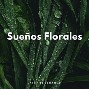 Sueños Florales: Jardín De Serenidad - Jardín del tiempo