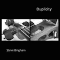 Duplicity - Steve Bingham
