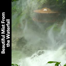 Beautiful Mist from the Waterfall - Outdoor Field Recorders