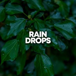 Rain Drops - Rain Recorders