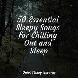 50 Essential Sleepy Songs for Chilling Out and Sleep - Weather Sounds