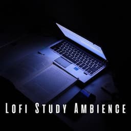 Lofi Study Ambience: Chill Music for Academic Success - Lo-Fi for Studying