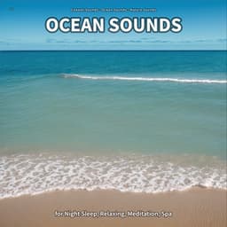 ** Ocean Sounds for Night Sleep, Relaxing, Meditation, Spa - Coastal Sounds