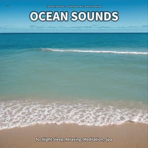 ** Ocean Sounds for Night Sleep, Relaxing, Meditation, Spa - Coastal Sounds