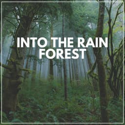 Into the Rain Forest - Weather and Nature Recordings