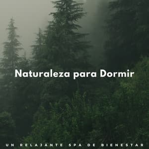 Naturaleza Para Dormir: Un Relajante Spa De Bienestar - Cascada de Lluvia