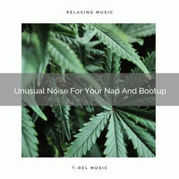 Unusual Noise For Your Nap And Bootup - Baby Shusher And Lullaby