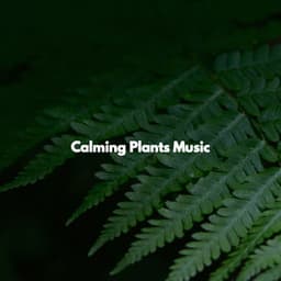 Calming Plants Music - Tuesday Morning Jazz Playlist