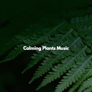Calming Plants Music - Tuesday Morning Jazz Playlist