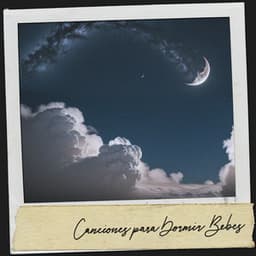 Canciones para Dormir Bebes: Dulce sueños en el tropico - Dog Relaxation